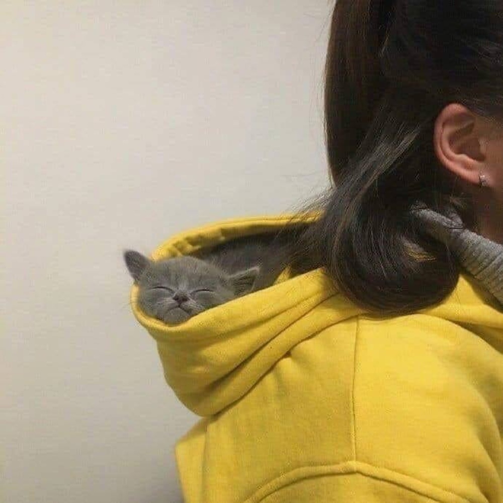 Meet your Posher, Joy